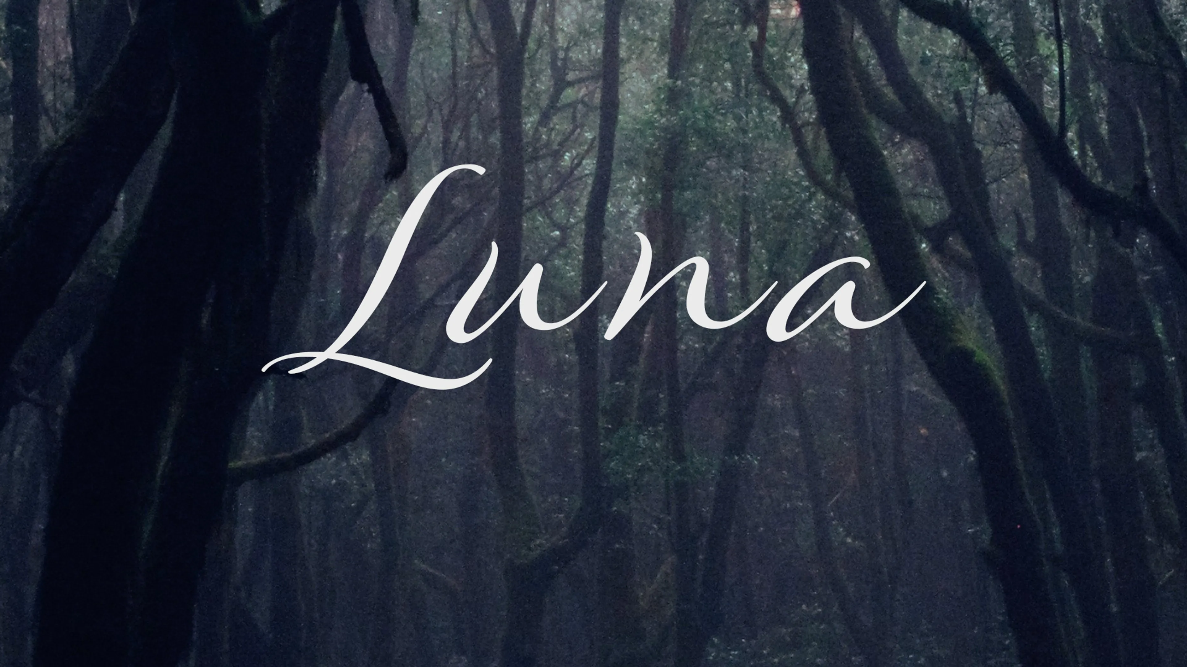 Luna poster